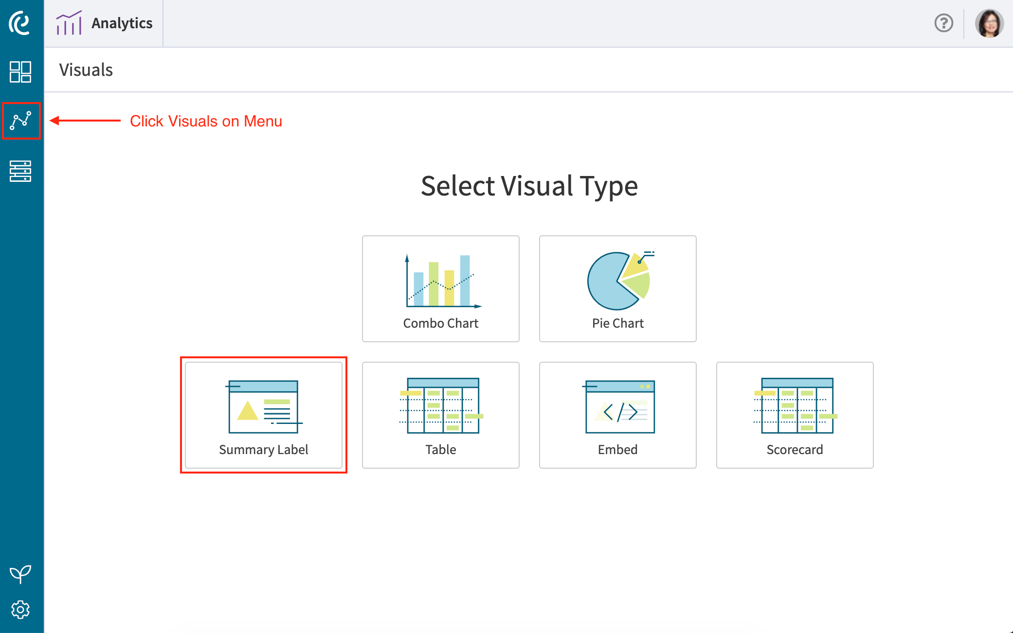 Create a Summary Label Visual Envisio